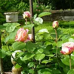 Manoir De Boisairault B&B 3*