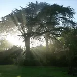 Manoir De Boisairault Bed & Breakfast Le Coudray-Macouard