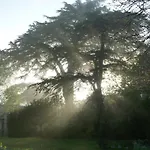 Bed & Breakfast Manoir De Boisairault