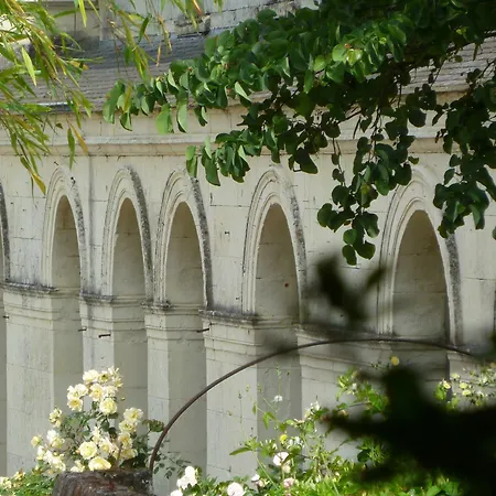 לינה וארוחת בוקר Manoir De Boisairault Le Coudray-Macouard