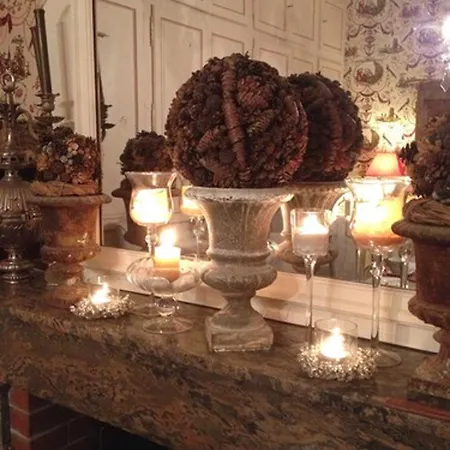 Manoir De Boisairault לינה וארוחת בוקר Le Coudray-Macouard