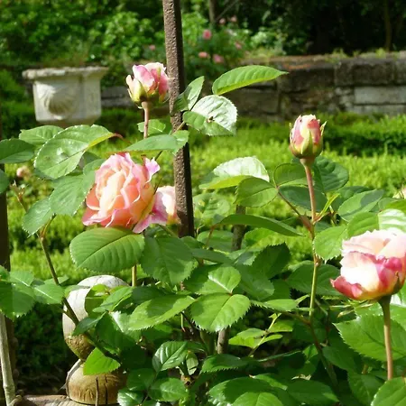 Manoir De Boisairault לינה וארוחת בוקר 3*