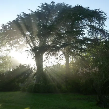 Manoir De Boisairault לינה וארוחת בוקר Le Coudray-Macouard