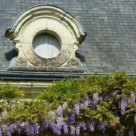 Bed & Breakfast Manoir De Boisairault 3*