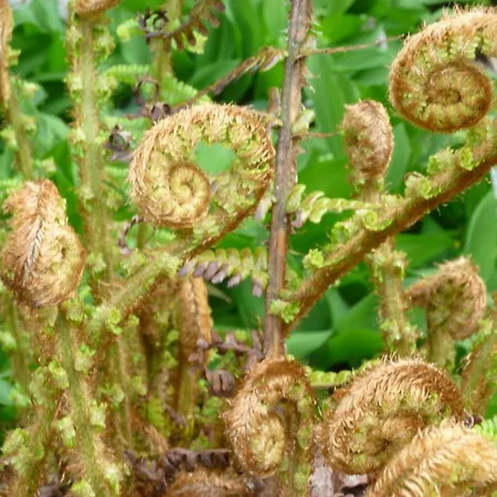 Manoir De Boisairault 3* Le Coudray-Macouard