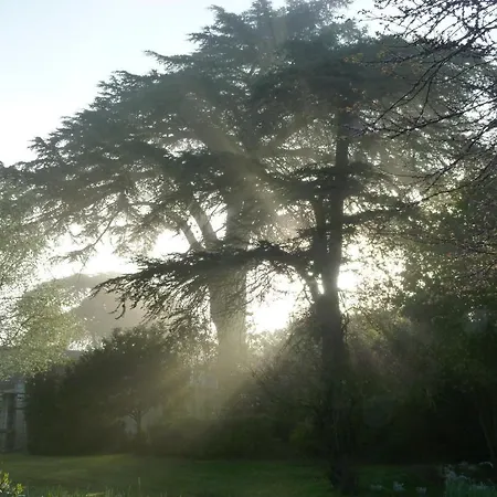 לינה וארוחת בוקר Manoir De Boisairault