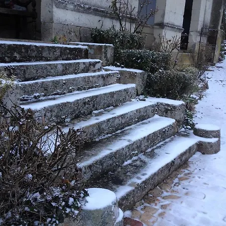 Manoir De Boisairault Nocleg ze śniadaniem Le Coudray-Macouard