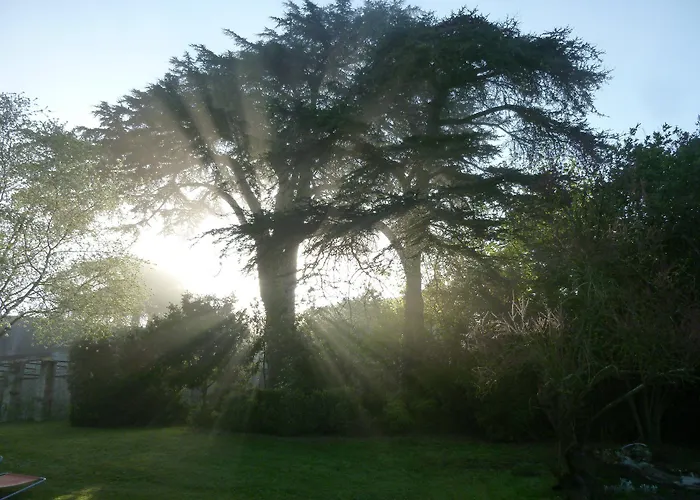 博伊斯瑞特庄园酒店 住宿加早餐酒店 勒孔德拉玛科尔德