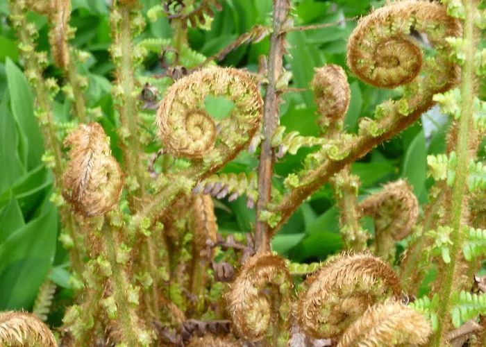 Manoir De Boisairault 3* Le Coudray-Macouard