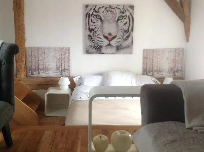 博伊斯瑞特庄园酒店 勒孔德拉玛科尔德